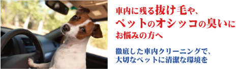 車内クリーニング 車内清掃は Cct カークリーニング竹花へ
